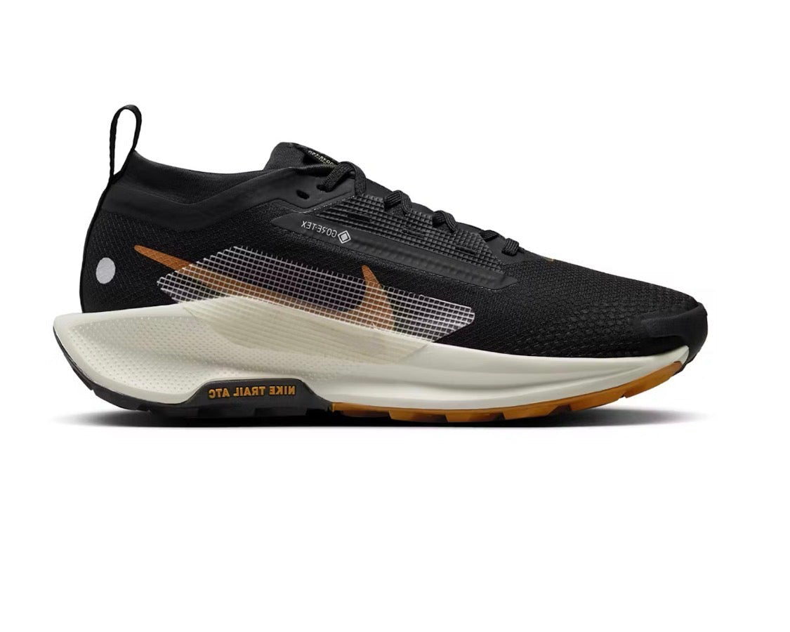 Nike Pegasus Trail 5 GORE-TEX 'Black Monarch' (W)