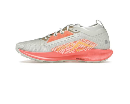 Nike Pegasus Trail 5 GORE-TEX 'Light Silver Wild Mango