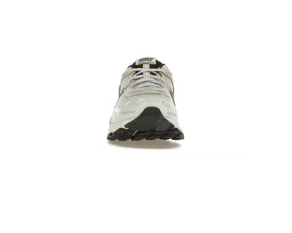 Nike Air Zoom Vomero 5 'Light Silver Chrome' (W)