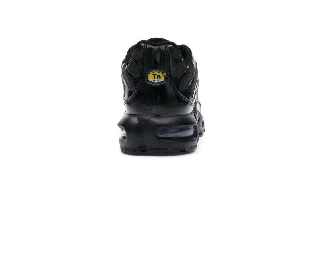 Nike Air Max Plus 'Triple Black'