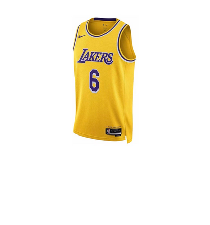 Nike NBA LeBron James Dri-Fit Swingman Jersey Icon Edition “Los Angeles Lakers”