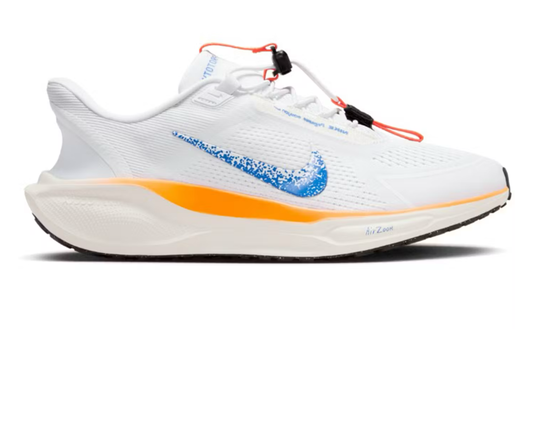 Nike Air Zoom Pegasus 41 EasyOn 'Blueprint Pack'