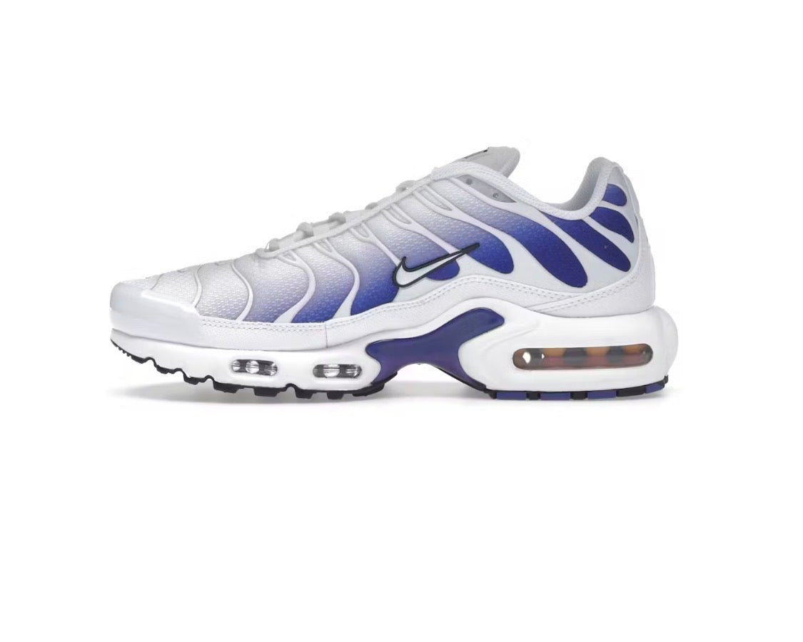 Nike Air Max Plus 'White Deep Night'