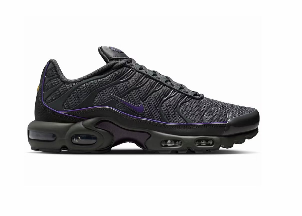 Nike Air Max Plus 'Iron Grey Wild Grape'