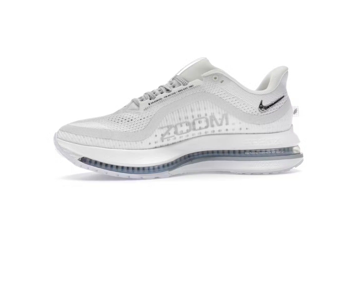 Nike Pegasus Premium 'White Metallic Silver'