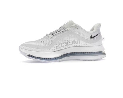 Nike Pegasus Premium 'White Metallic Silver'