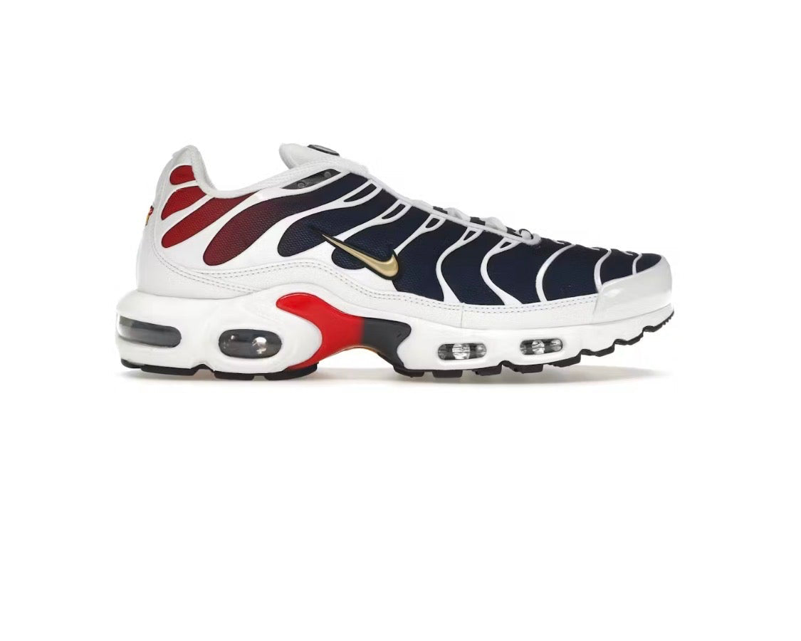 Nike x Paris Saint-Germain Air Max Plus 'Home Kit'