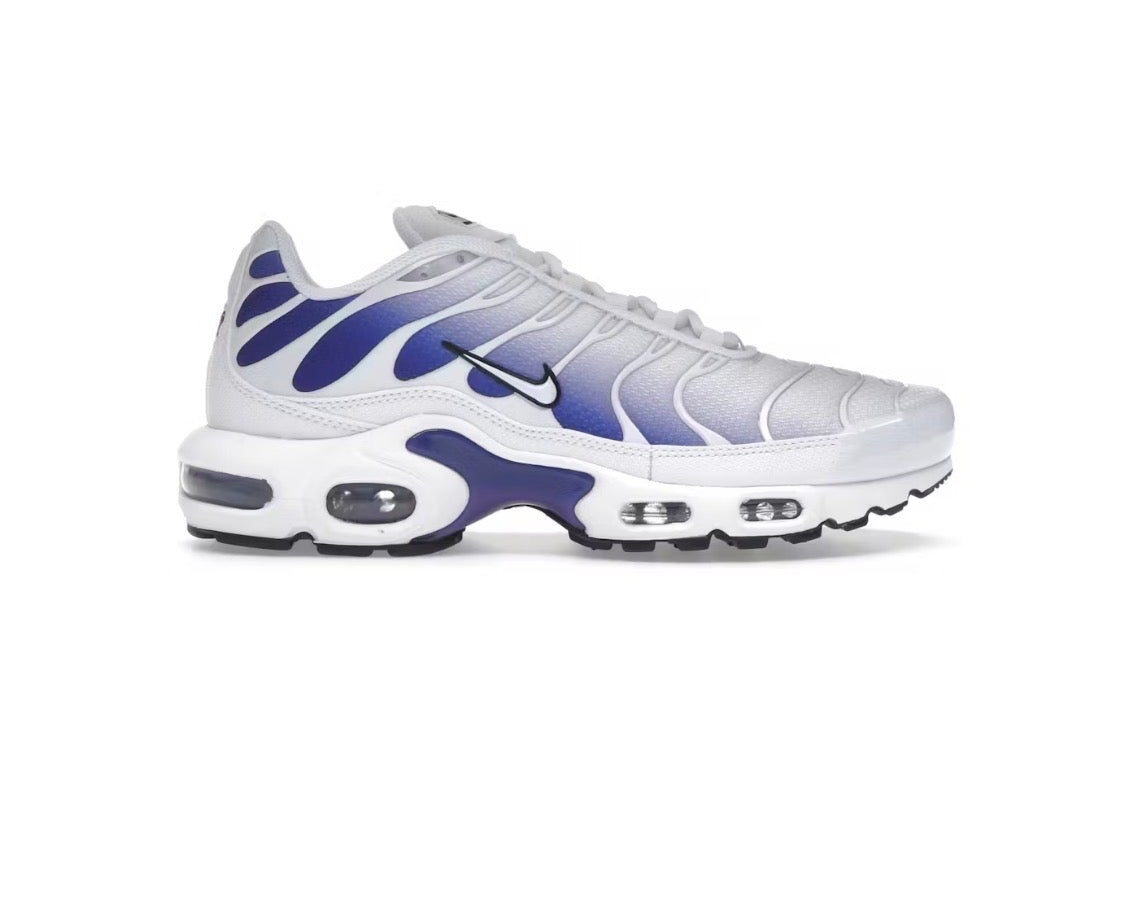 Nike Air Max Plus 'White Deep Night'
