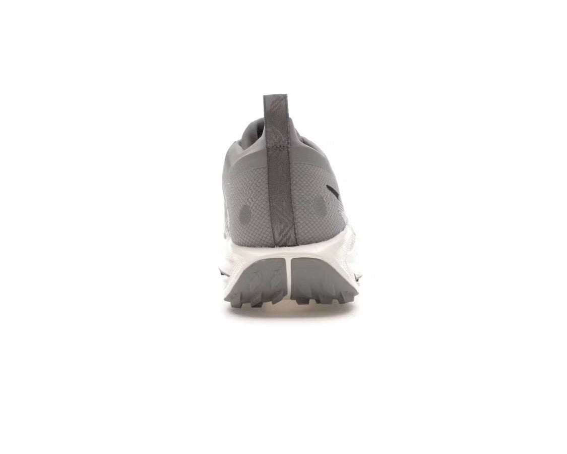 Nike Pegasus Trail 5 GORE-TEX 'Cement Grey Midnight Navy'