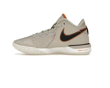 Nike Zoom LeBron NXXT Gen 'Da Vinci'
