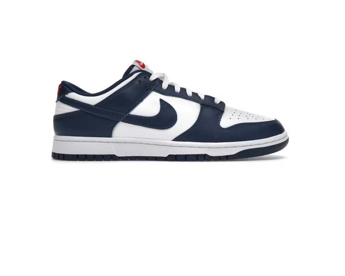 Nike Dunk Low 'Valerian Blue'