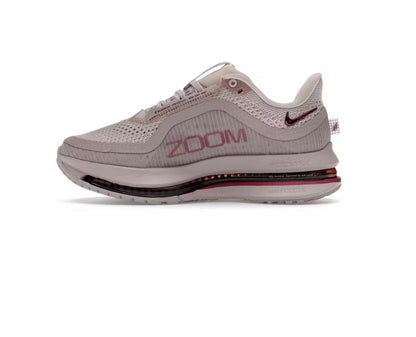 Nike Pegasus Premium 'Silt Red Particle Rose' (W)