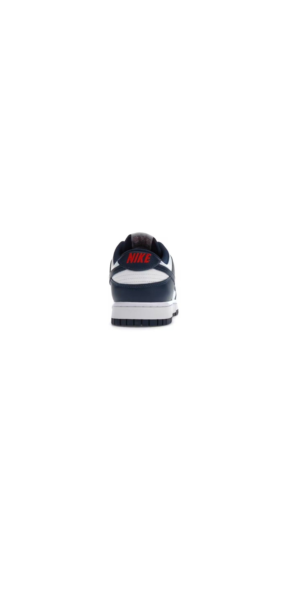 Nike Dunk Low 'Valerian Blue'