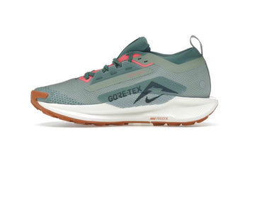 Nike Pegasus Trail 5 GORE-TEX 'Jade Horizon'