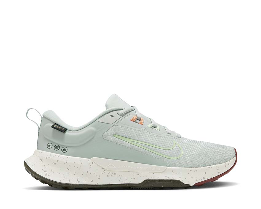 Nike Juniper Trail 2 GORE-TEX 'Light Silver'