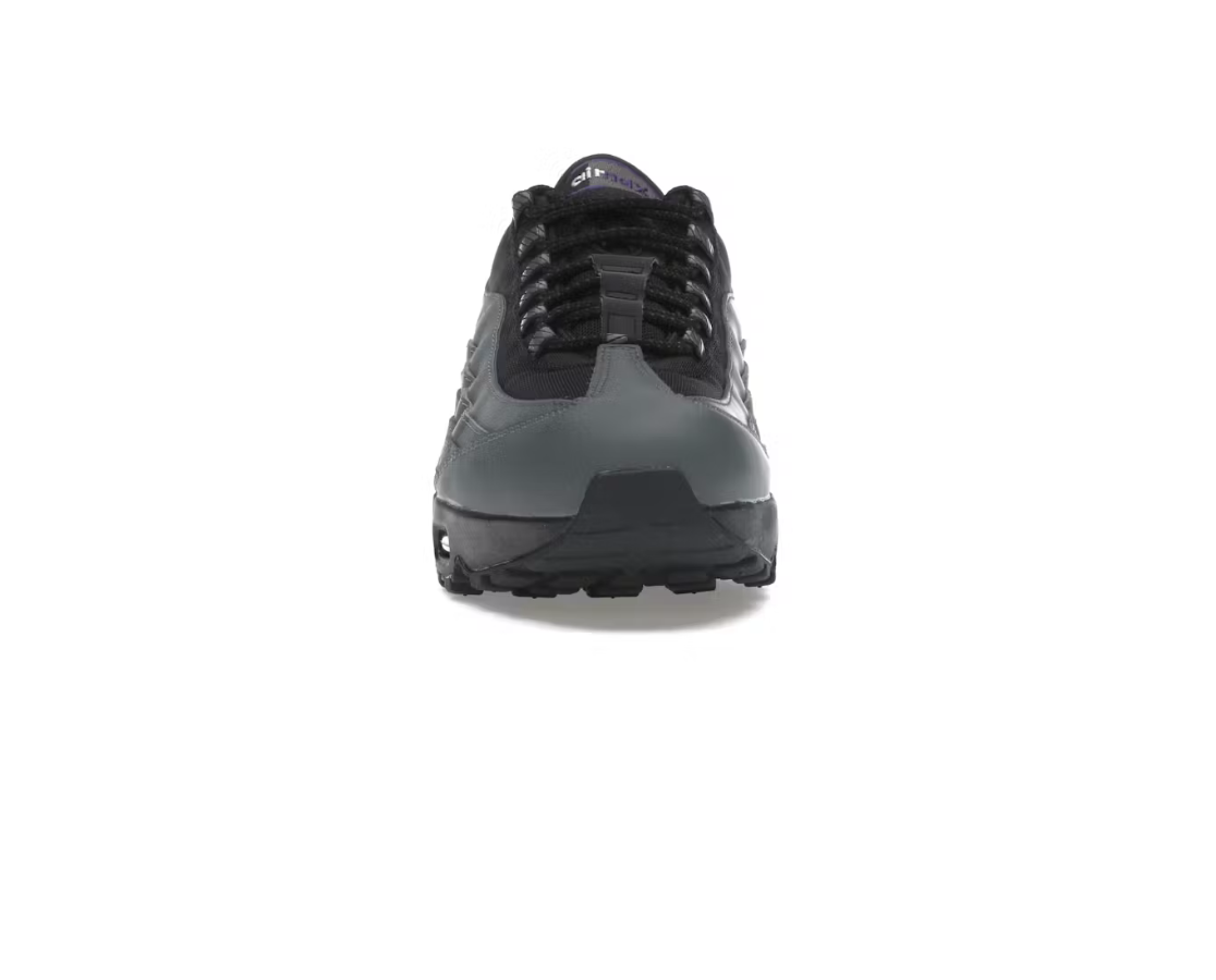 Nike Air Max 95 'Iron Grey Wild Grape'