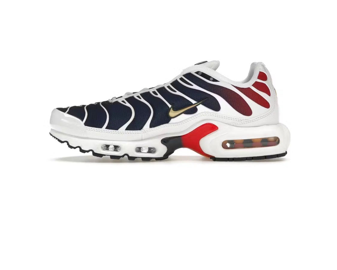 Nike x Paris Saint-Germain Air Max Plus 'Home Kit'