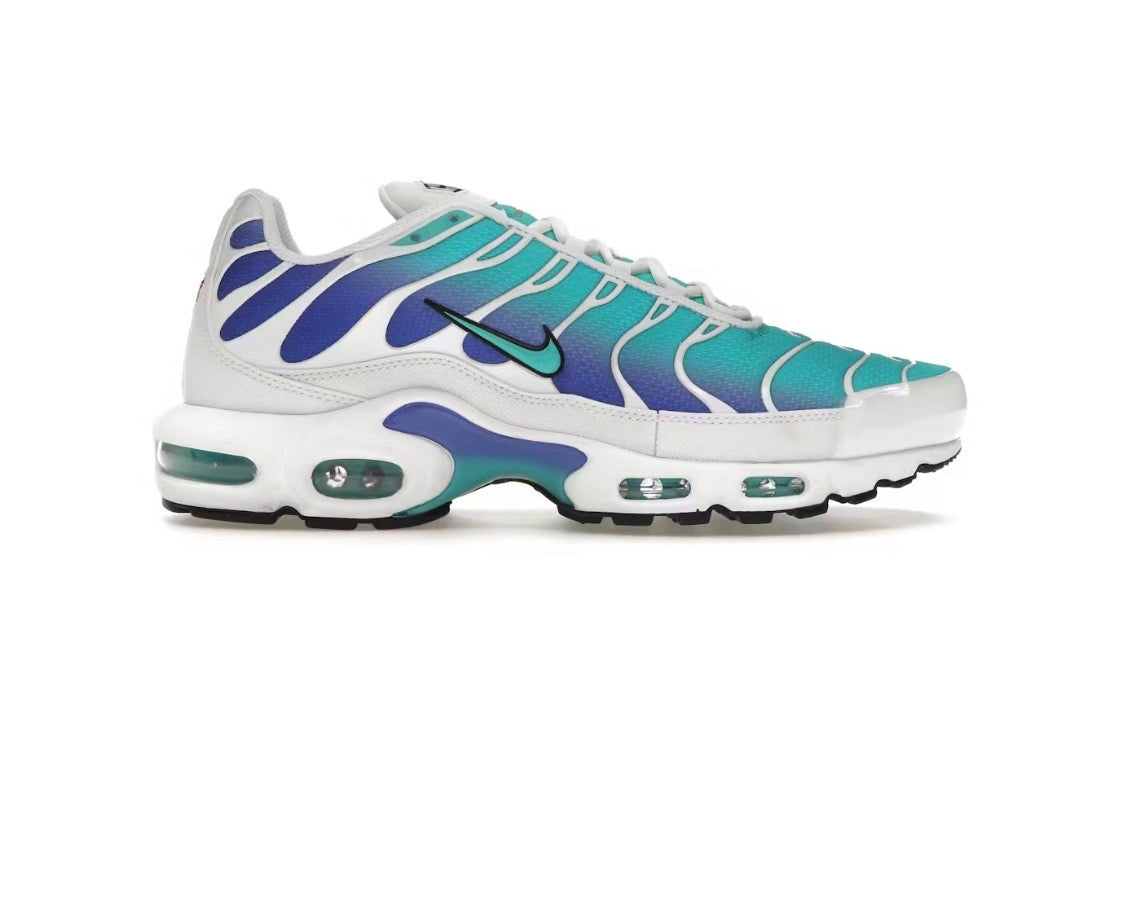 Nike Air Max Plus 'Dusty Cactus Persian Violet'