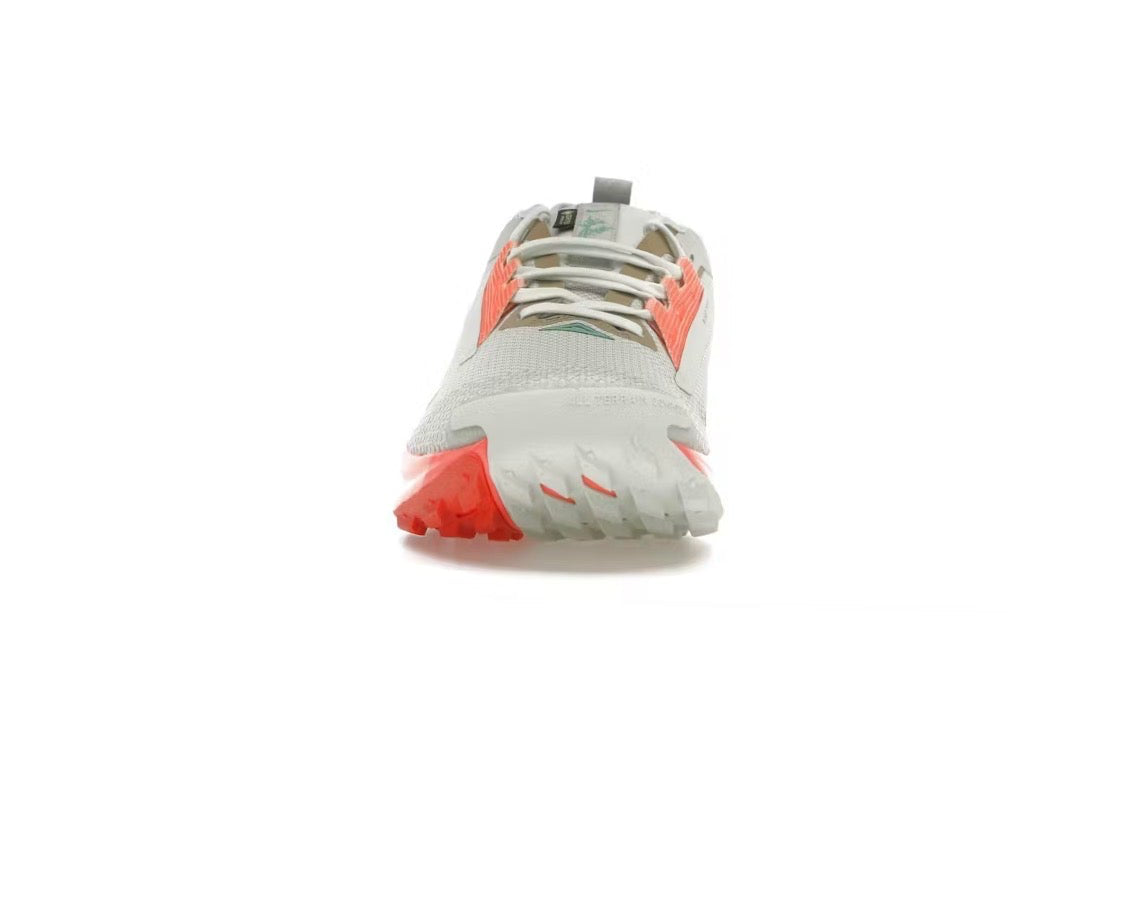 Nike Pegasus Trail 5 GORE-TEX 'Light Silver Wild Mango