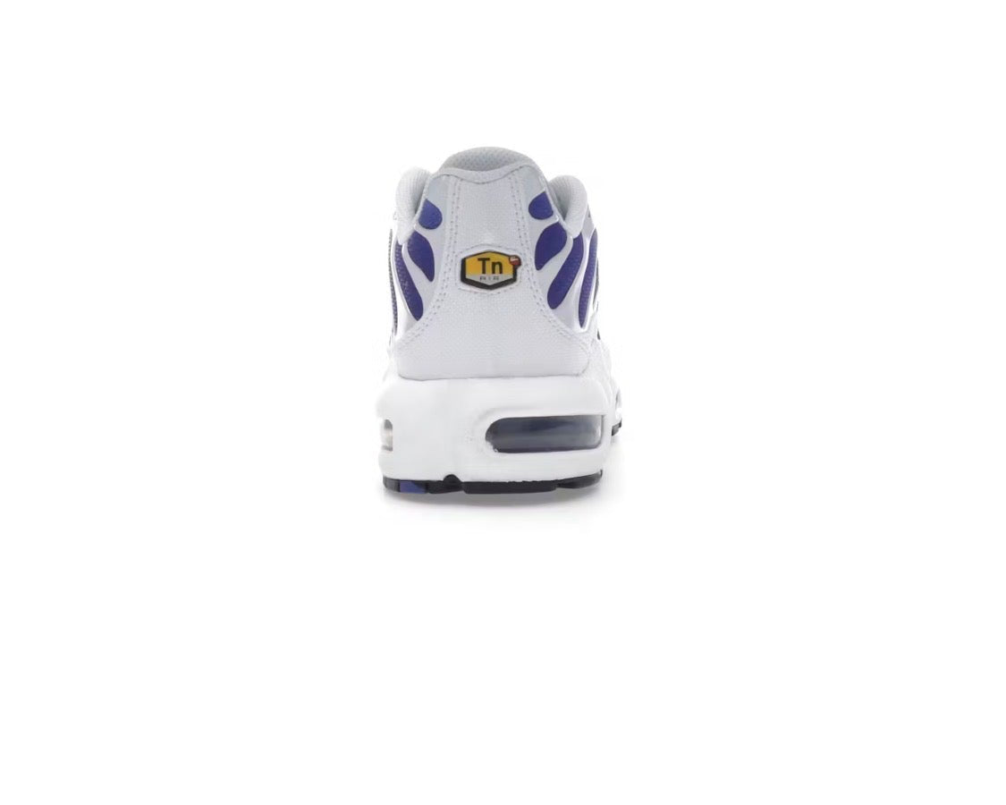 Nike Air Max Plus 'White Deep Night'