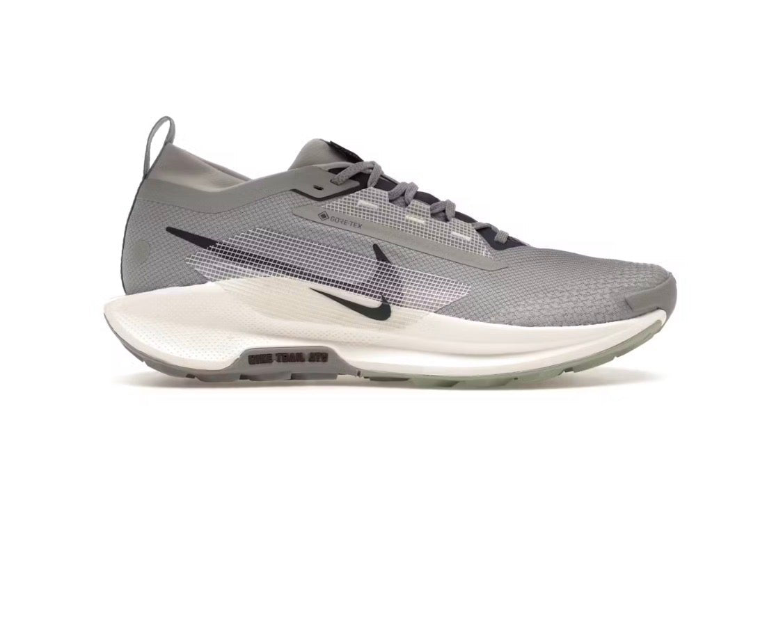 Nike Pegasus Trail 5 GORE-TEX 'Cement Grey Midnight Navy'