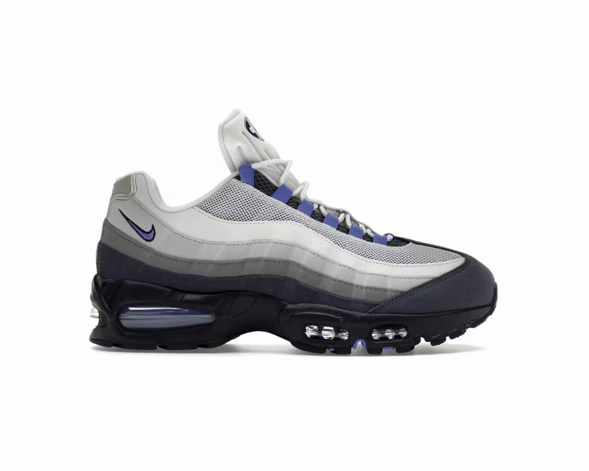 Nike Air Max 95 'Photon Dust Sapphire Raisin'