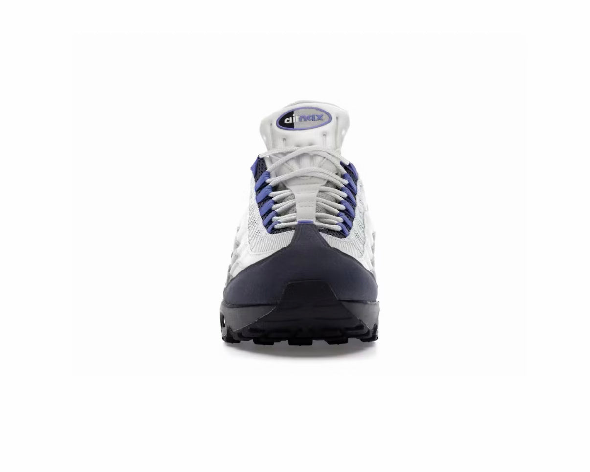 Nike Air Max 95 'Photon Dust Sapphire Raisin'